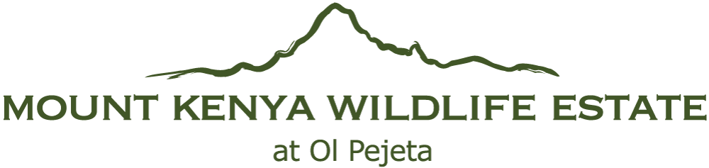 Mt Kenya Wildlife Estate at Ol Pejeta