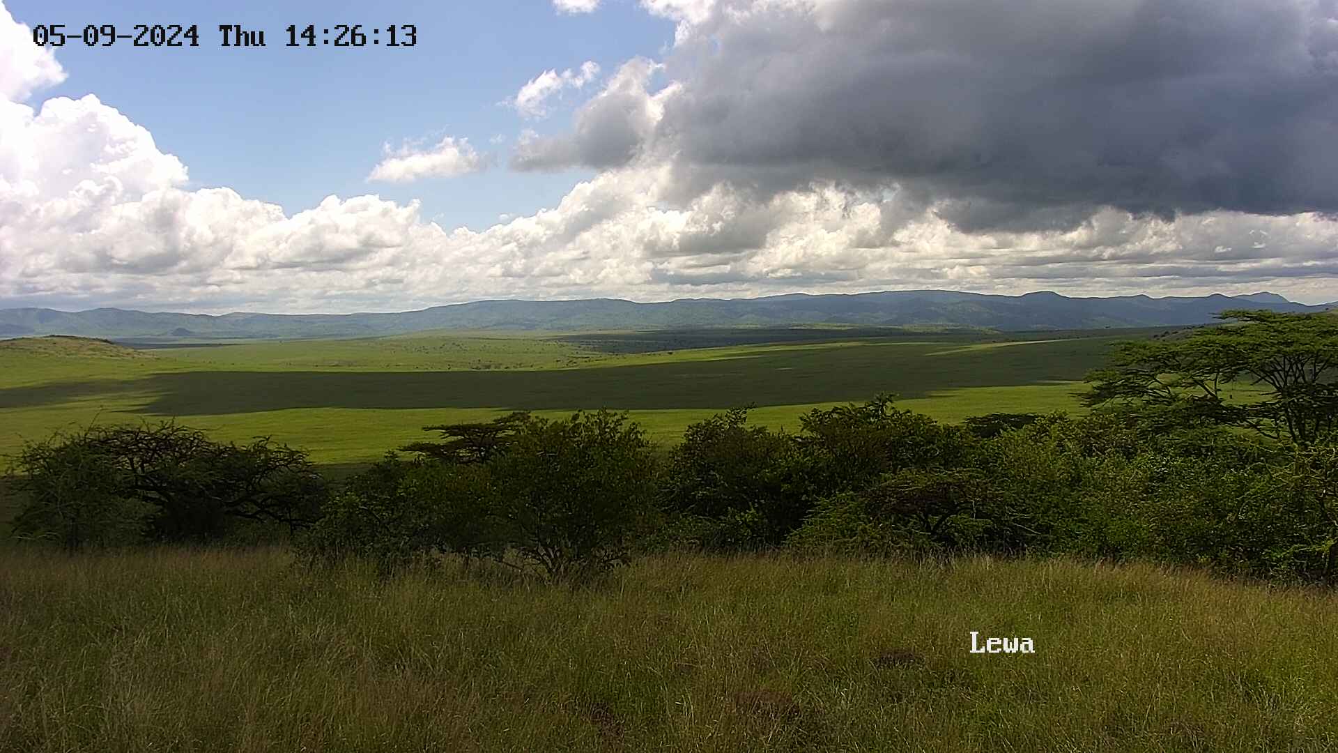 Mt Kenya - Lewa NW